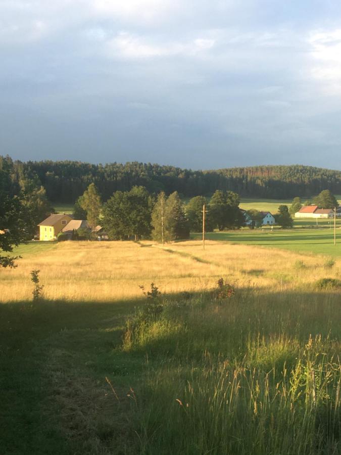 Familienapartments Mit Balkon Und Garten Ober-Lembach Eksteriør bilde